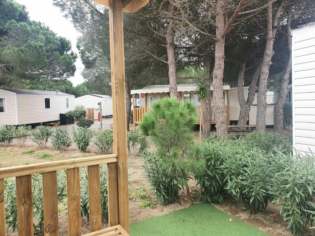 Mar Estang Luxury Eden 45M2 Otel Canet-en-Roussillon Dış mekan fotoğraf